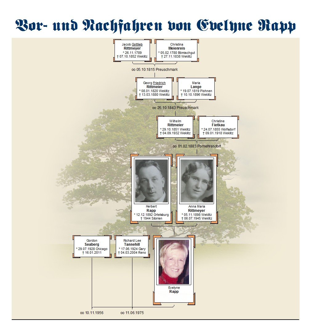 Vorfahren-Linie